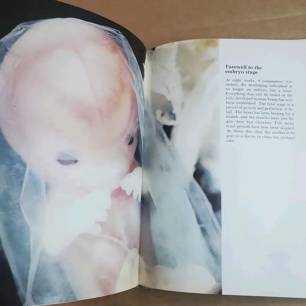 Delacorte Press vintage child
